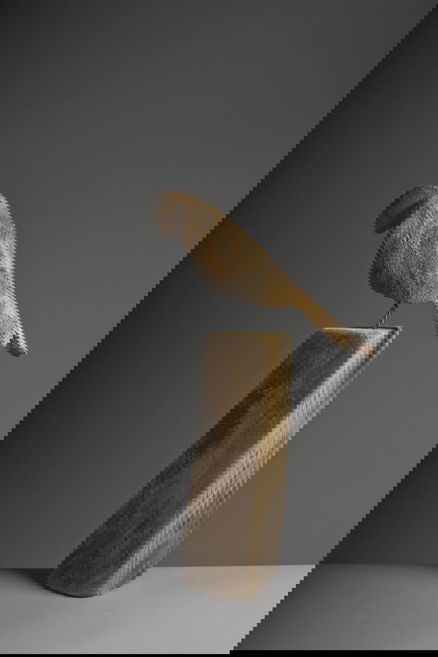 _V6C9358