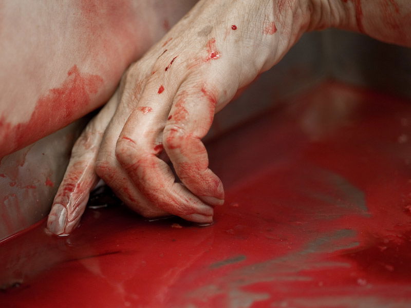 Post Mortem