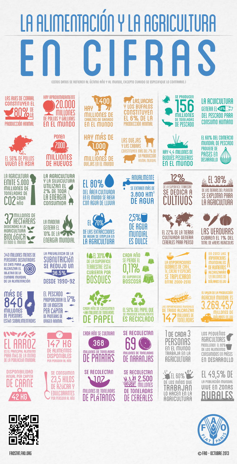 FAO-Infographic-food-ag-es