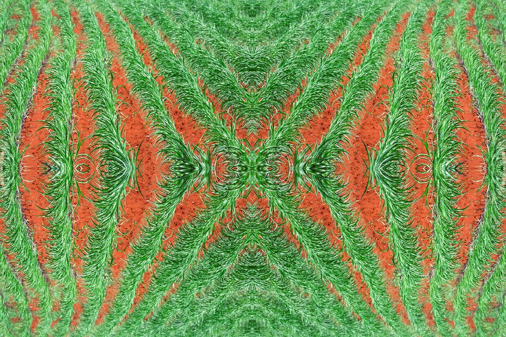 1crops