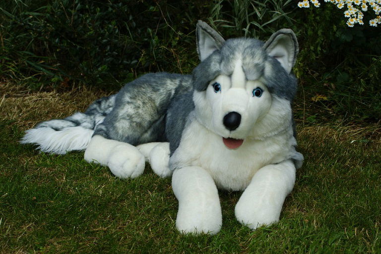 puppy play