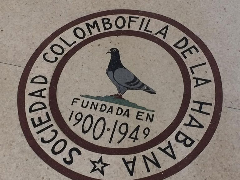 palomas cuba 21430294_1410414825740831_8443916161121406696_n