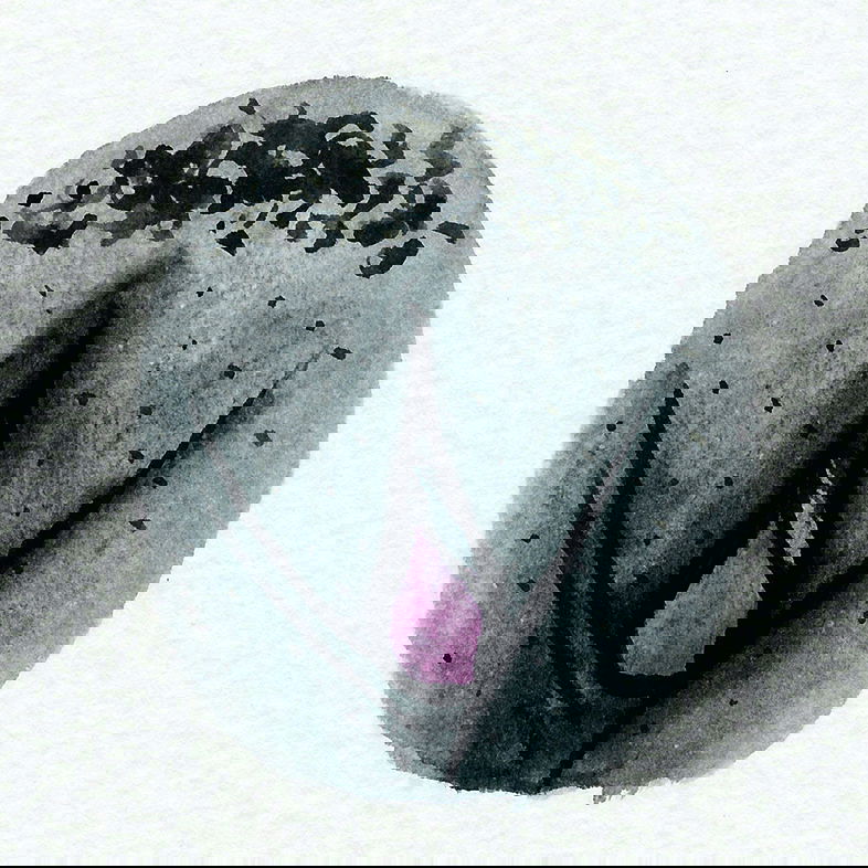 The Vulva Gallery