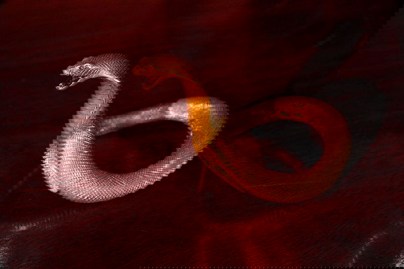 velvor_king_jcobra_lookingright_small