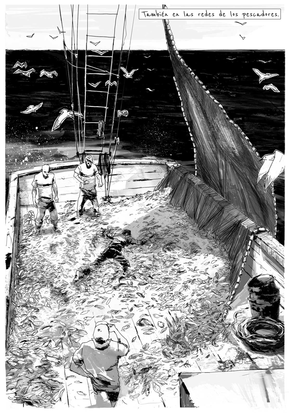 refugiados-pescadores