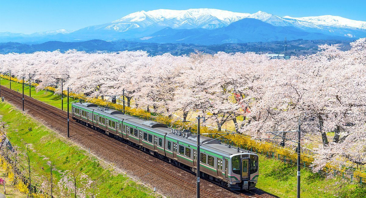 Tohoku