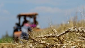 Norman Borlaug, el padre de la Revolución Verde, pero no de la agricultura intensiva (aunque algunos lo crean)