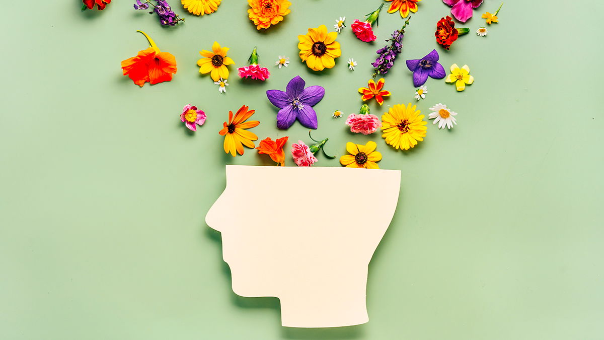 Diccionario de metáforas de salud mental