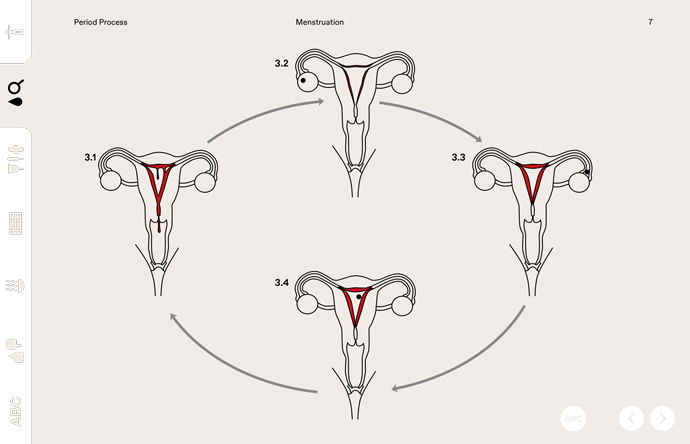 menstruopedia