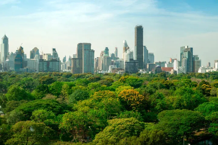 bosques urbanos
