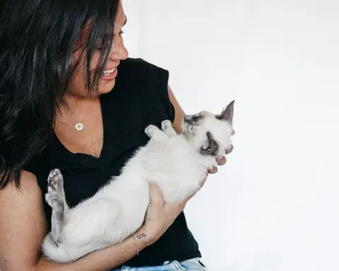 educación vincular felina