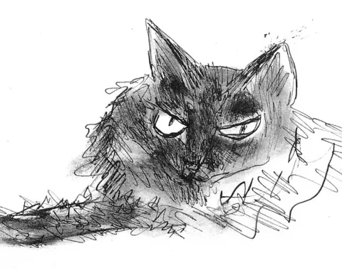 gatos patricia Highsmith