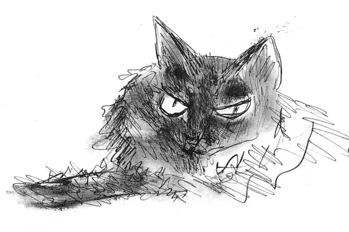 gatos patricia Highsmith