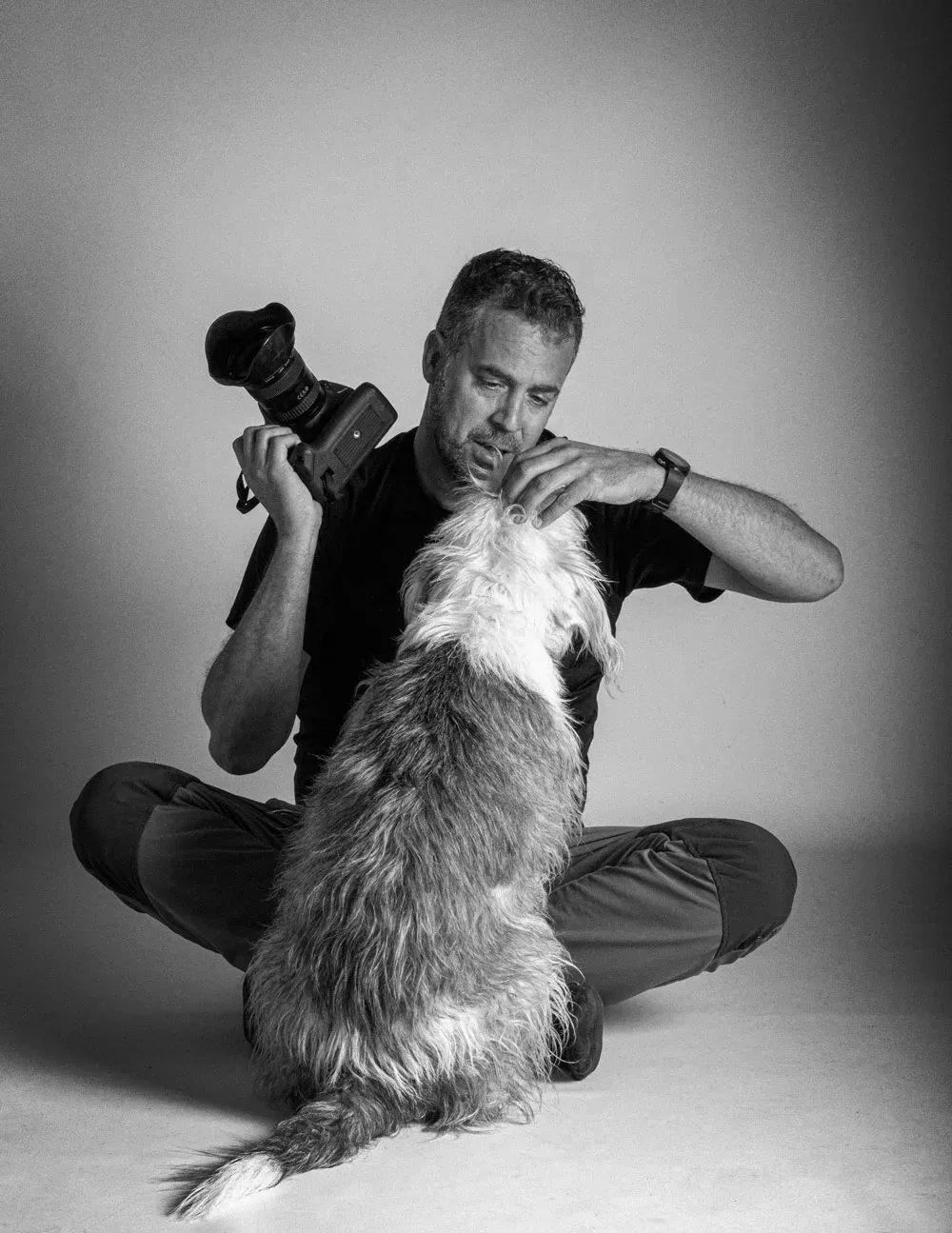 perros gatos y retratos