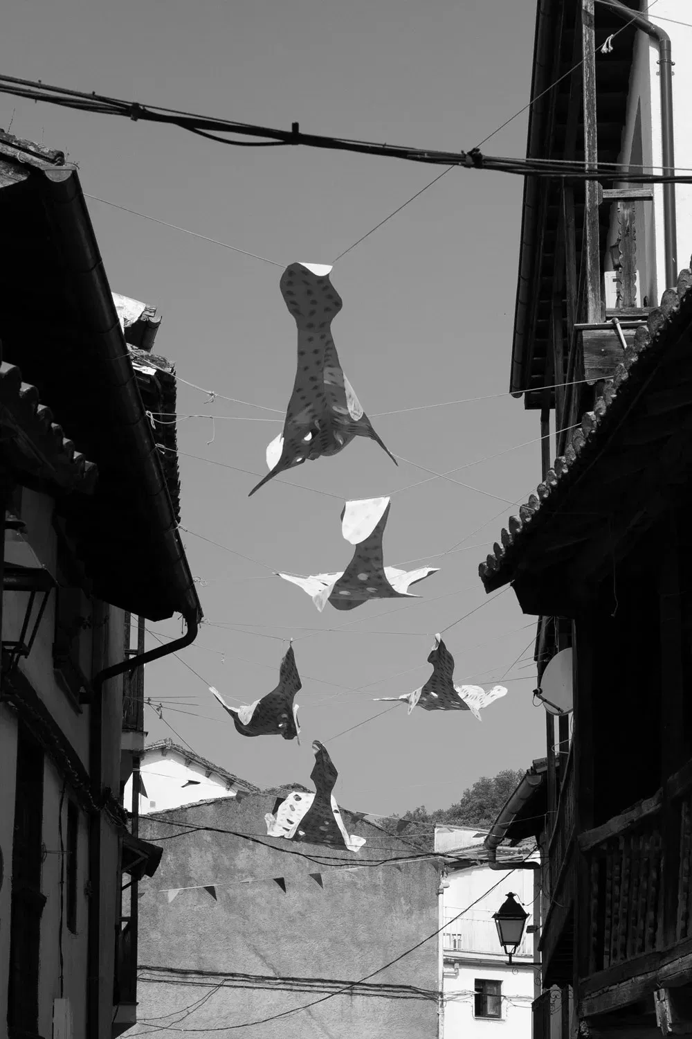 Tejiendo la calle