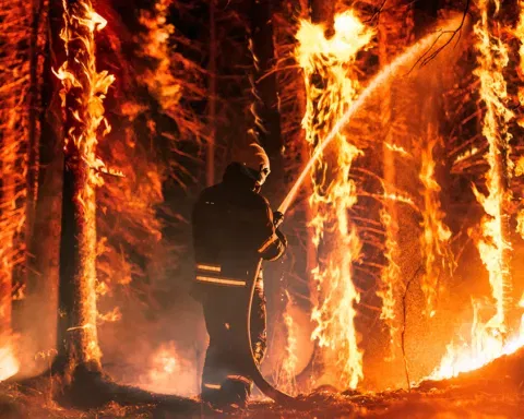 incendios forestales